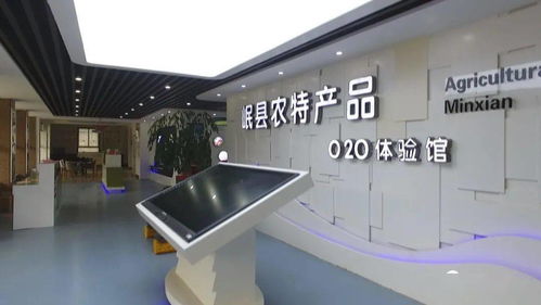 技術驅動發展 岷縣電子商務銷售額突破2.99億元背后的軟硬件技術咨詢力量